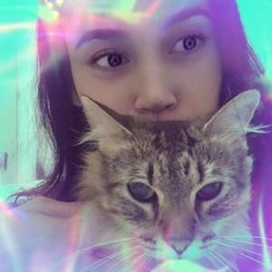 Meet your Posher, Pai pai